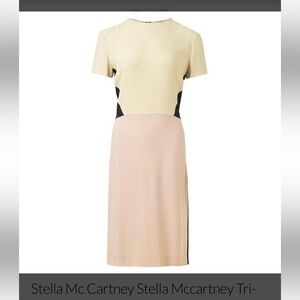 🔥 Stella McCartney Colorblock Dress US 8